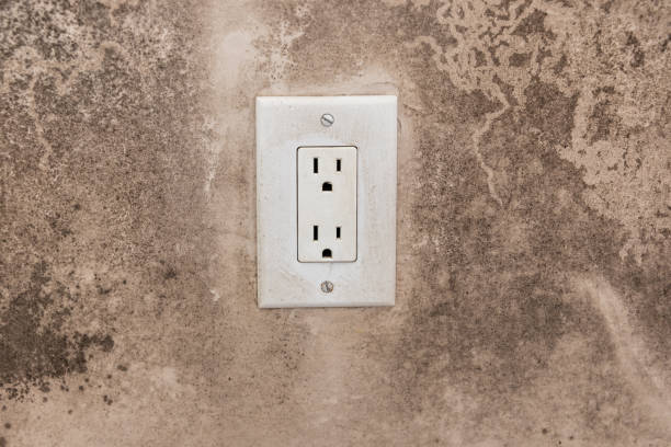 Best Post-Construction Mold Inspection  in Dunn, NC